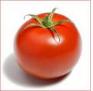 Sofrito de tomate y cebolla